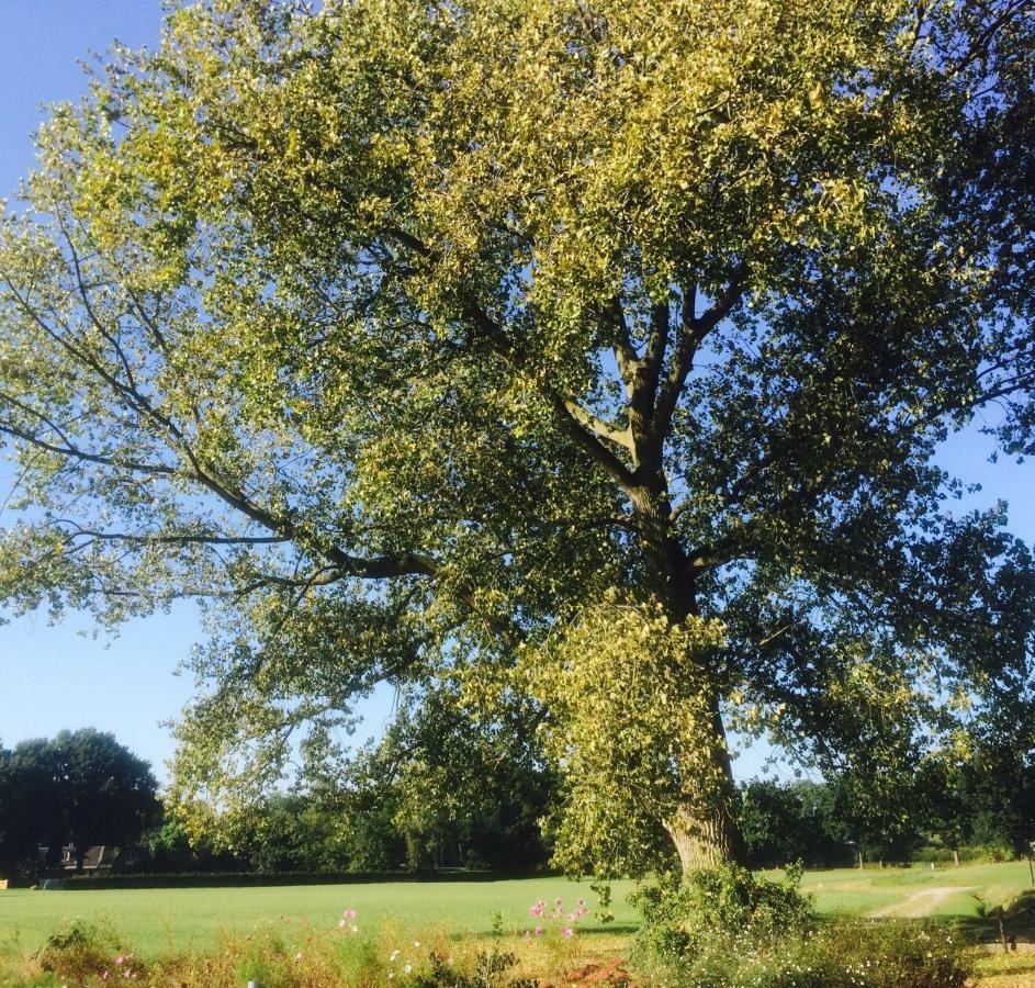Vrijheid Van Gilze Bagian luar foto